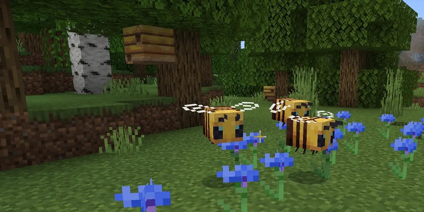 How to Get Honeycomb in Minecraft